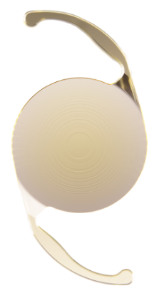 新規取り扱い多焦点レンズ1