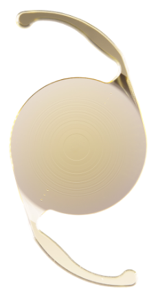 新規取り扱い多焦点レンズ2