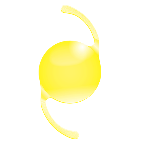 Vivinex Impress（インプレス）の特徴