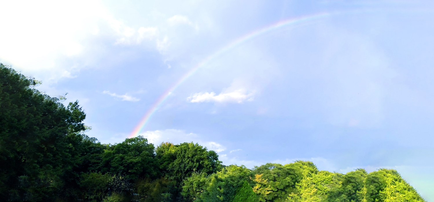 キービジュアルイメージ